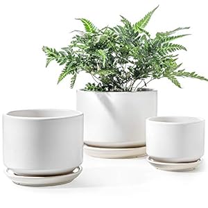 LE TAUCI Ceramic Plant Pots, 4.3+5....