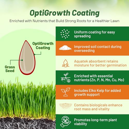 Outsidepride Fireball & Hattrick Rye Grass Seed Blend - 5 Lbs. Wear Tolerant, Fine Leaf Texture Perennial Rye Grass Seeds for Lawn, Sports Turf & More, OptiGrowth Coated for Better Establishment
