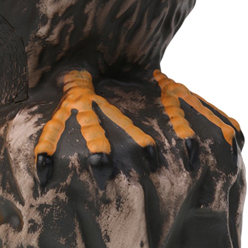 Homyl Decorações De Pouco Peso Do Jardim Decoys Realísticos Da águia Chamariz Realístico Do Falcão -