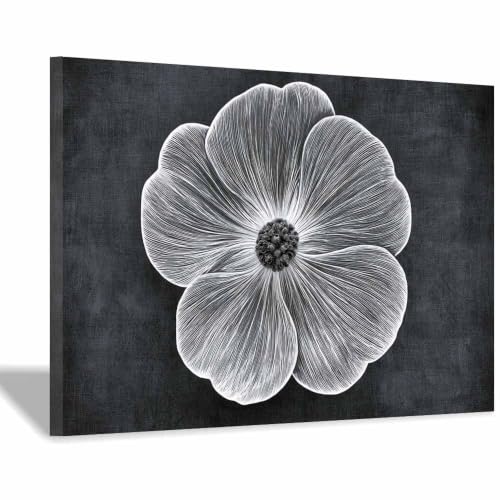 Déco murale coquelicot : affiche noir et blanc pour chambre