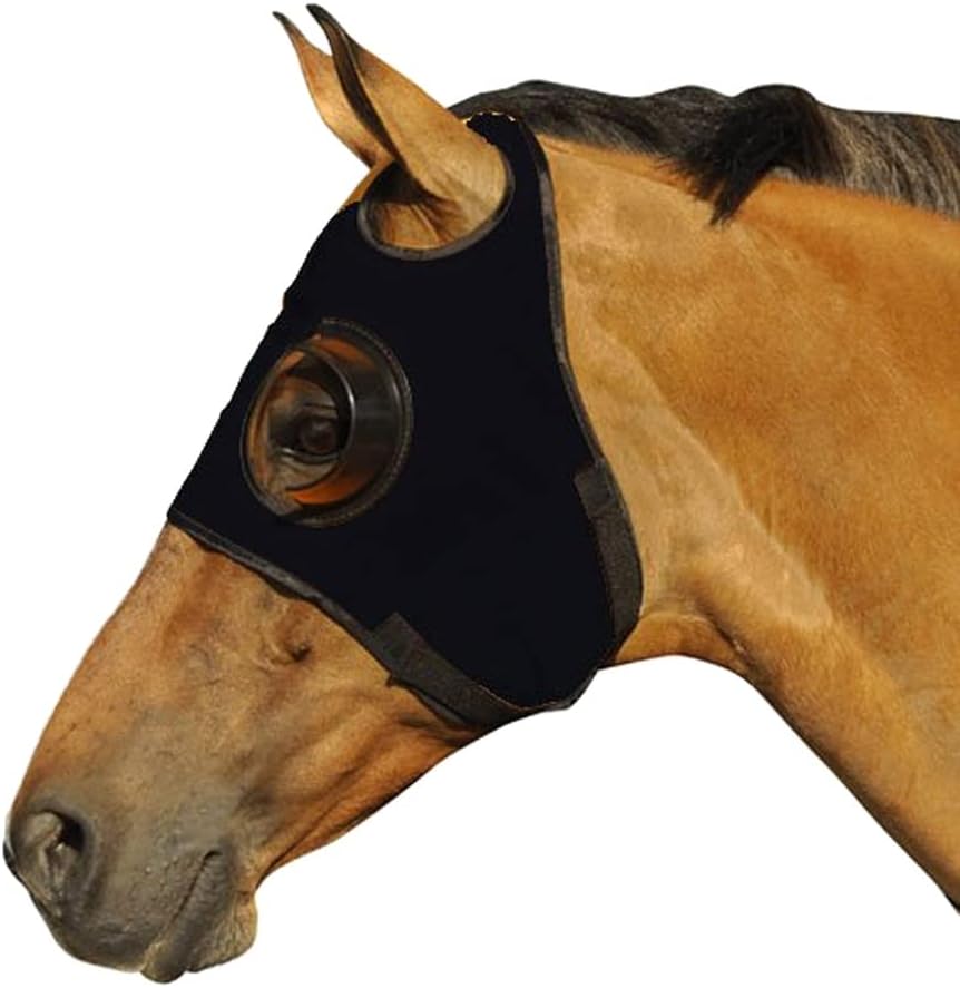 Can't See Back Quarter Cup Blinker Hood