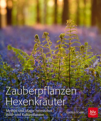Zauberpflanzen Hexenkräuter: Mythos und Magie heimischer Wild- und Kulturpflanzen
