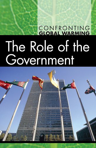 Buy The Role of the Government (Confronting Global Warming) — BookShops.in