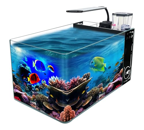 GankPike 10-Gallon Curved Corner Saltwater Aquarium Rimless Low Iron Aquarium Marine Fish Tank Reef Tank with Lid, Protein Skimmer, LED Light, Filter Media and Pump (Black, Premium All-in-One Kits)