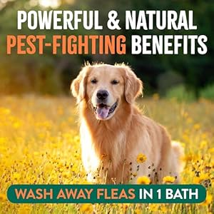 Tropicleanmaxstrengthfleaandtickshampootreatmentfordogspowerfulnaturaldefensepreventionforlargesmalldogsmadeinusa20oz Urban Country Home Decor Tropiclean max strength flea and tick shampoo treatment for dogs powerful natural defense prevention for large small dogs made in usa 20oz urban country home decor