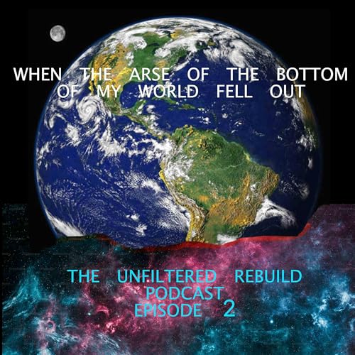 『When the arse of the bottom of my world fell out.......』のカバーアート