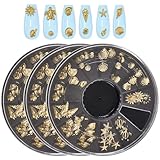 CRASPIRE 3 Caja Adornos Uñas Diseño Océano Dorado,Adornos Metálicos 3D Uñas,12 Estilos Conchas Marinas,Estrellas Mar,Gemas,Adornos DIY Mujeres,Diseños Joyería Artesanal Vacaciones