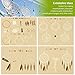 YOUKCDT Aros para Atrapasueños, 8 Aros de Madera Natural de Diámetros Diferentes(10cm,...