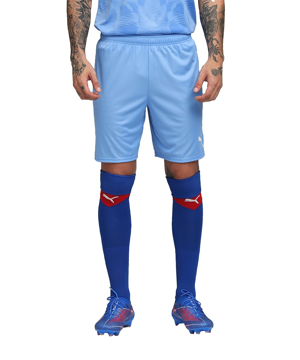 PUMA teamGOAL Shorts