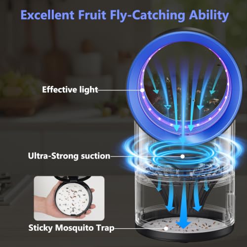 Image of Fruit Fly Trap for Indoors, Blue Bug Zapper Indoor with Suction & Timer | Uv Light Lures Fruit Flies /Gnats, Timer 6 /12hrs, Plug in Fly Trap with Suction, Kid & Pet Applicable, Low Noise, 10 refills