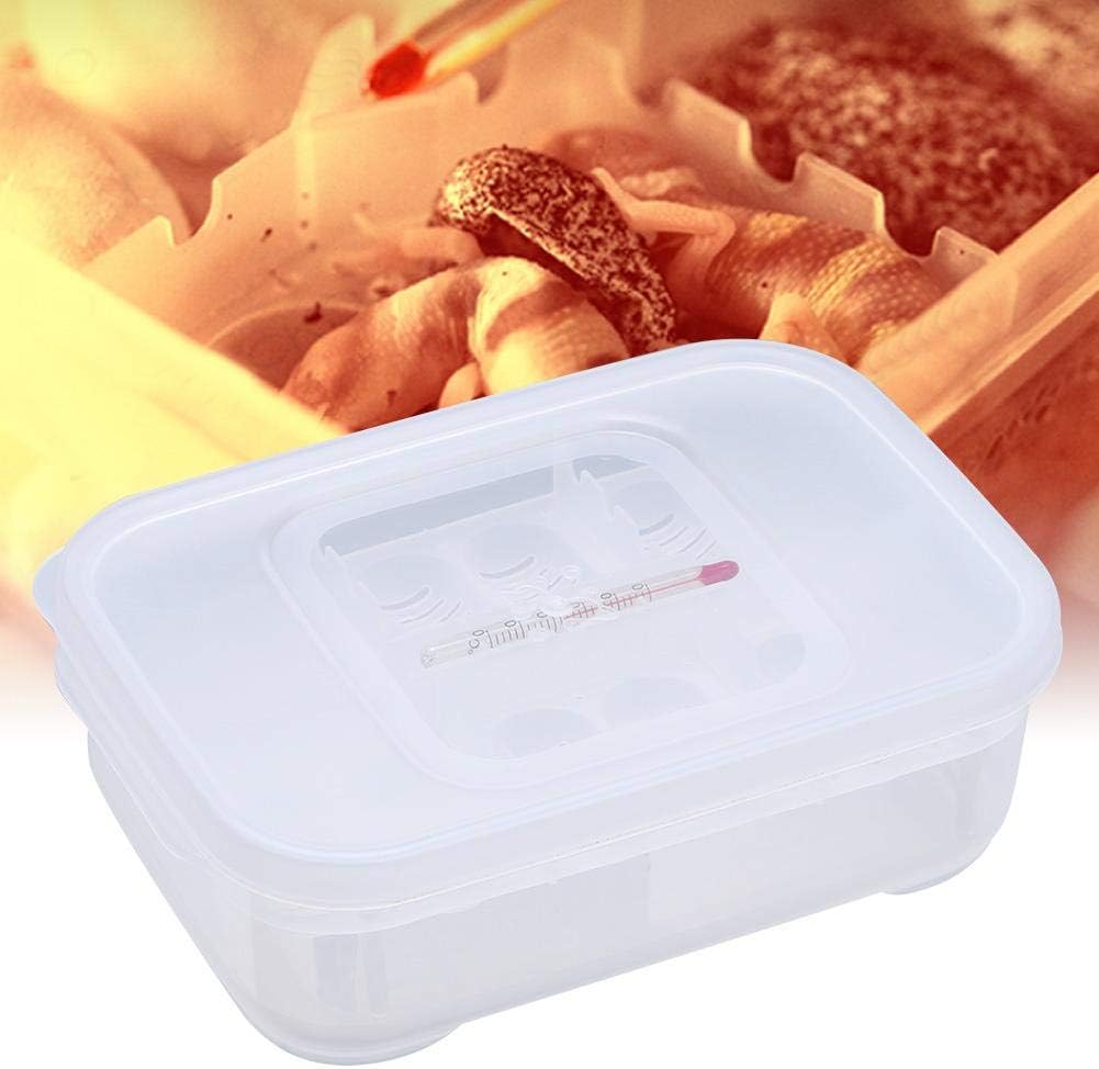 lizard egg incubator