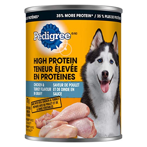 PEDIGREE High Protein Adult Wet Dog Food – Chicken & Turkey Flavour in Gravy 375g, (12 Pack)
