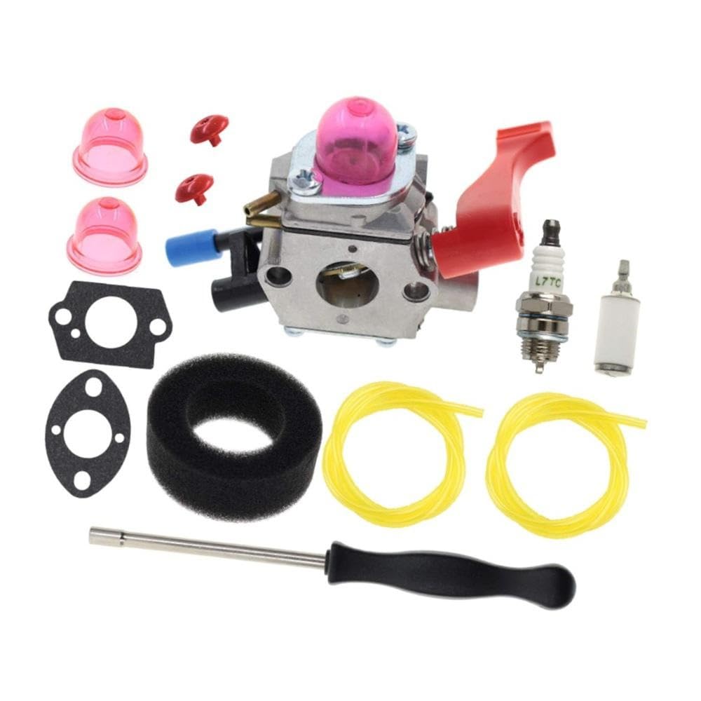 Carburateur WT-784 pour entretenir le jardin avec le souffleur PPB2000