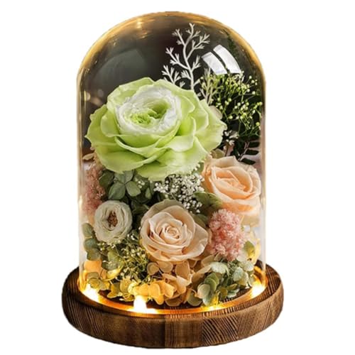 vU[h t[ ͂Ȃ  a  Mtg KN hCt[ t[ MtgKXh[ LEDCg ̂ aFB ̓ӂNւ̌hӋLOv[g (CgO[F-)