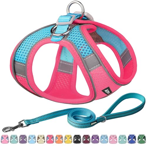 Image of AIITLE No Pull Dog Harness and Leash Set, Step in Adjustable Dog Harness with Padded Vest for All Weather, Dog Leash with Soft Padded Handle, Easy to Put on Small and Medium Dogs Hot Pink S