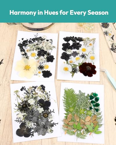 Image of Dried Flowers, Resiners 100Pcs Pressed Flowers for Craft Black Real Natural Dried Flowers Dry Leaves Kit for DIY Making Crafts Resin Soap Candle Scrapbook Supplies Card Making Jewelry