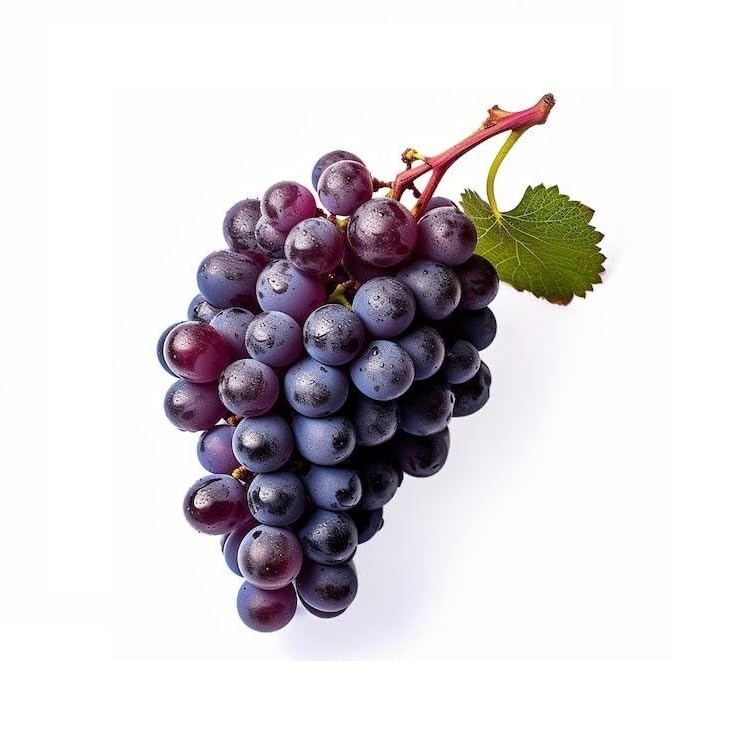 Image of on and on 9E5 Drink Juice Concentrate - Natural Antioxidant NEW MRP and NEW MFD