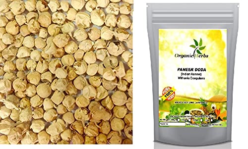 Ayurvedic Herbal Paneer DODI | Cuajo indio | Paneer Doda | Paneer ka Phool | Withania coagulans (1000gm/34.8 oz)