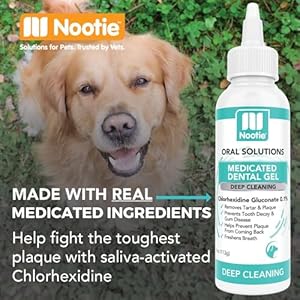 Nootie Medicated Dental Gel for Dogs, Freshens Breath and Cleans Teeth for Dogs - Prevents Plaque and Tartar Dog Oral Care, 4oz Nootie Medicated Dental Gel for Dogs Freshens Breath and Cleans Teeth for Dogs Prevents Plaque and Tartar Dog Oral Care 4oz