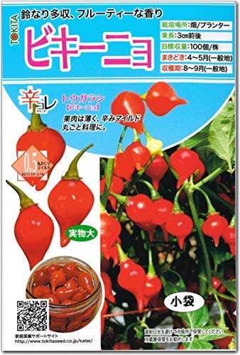 Amazon.co.jp: とうがらし 種子 ビキーニョ 20粒 トウガラシ
