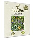 SaatPur