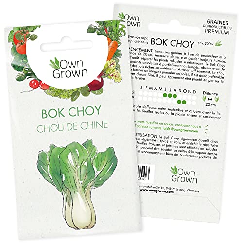 Graines de Bok Choy: Graine de chou de Chine à semer pour environ 200 délicieux plants de légumes - Semis chou à planter pour le balcon et le jardin - Plante potagère qualité Premium OwnGrown Cover