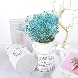 FORMIZON B0948ZSHKM lato 4