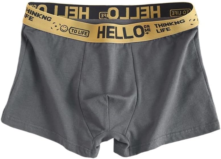 Men's Organic Cotton Underwear Casual Shorts Underwear Breathable Stretch Cute Sports Mens Boxer Briefs breathable - Image 8