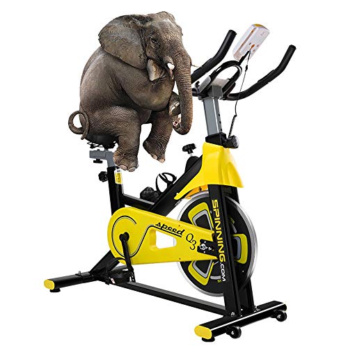 Fitness Bike 120 Kg Ergometer Hometrainer Fitnessbike Heimtrainer Indoor Cycling Bike, Profi Indoor Cycle Für Zuhause, Widerstandseinstellung,