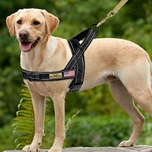 PET ARTIST Soft Flannel Padded No Pull Dog Tactical Harness for Medium Large Dog,Quick Fit Reflective Strip Escape Proof Dog Vest Harness PET ARTIST Soft Flannel Padded No Pull Dog Tactical Harness for Medium Large Dog,Quick Fit Reflective Strip Escape Proof Dog Vest Harness