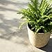 Worth 9 Gallon Tall Round Planters Set of 2-14