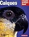 Caiques: Everything About HEalth, Behavior, Feeding, and Care (Complete Pet Owner's Manual)