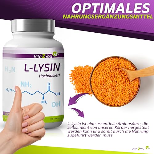 Vita2You L-Lysin 1200mg - 365 Kapseln - 1000mg reines Lysin pro Tagesdosis - ohne Zusätze - hochdosiert - Premium Qualität – Bild 4