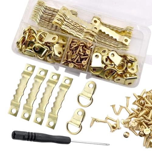 Image of Picture Hangers, 251pcs Heavy Duty Metal Wall Picture Hangers Assortment, Wall Hangers, Picture Hanging Hooks, Frame Hanging Hardware for Artwork Posters Paintings Clock