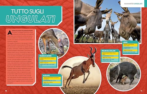 La Grande Enciclopedia Dei Mammiferi. Il Più Completo Manuale Sui Mammiferi Mai Realizzato. Ediz. A Colori - 10