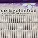 Dedila 8-16mm to choose Handmade Grafted Individual False Eyelashes Natural Long Eye Lashes Cluster Extension 3D Fans Fake Eyelashes(12mm)