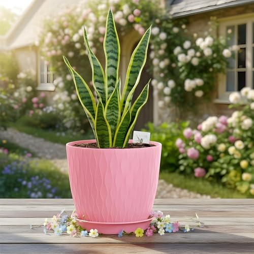Image of SWAPKART (Pack of 5 6 Inch Plastic Flower Pots for Indoor & Outdoor Terrace,Garden Plants Decorative Planters with Drainage Holes & Matching Saucers Durable & Lightweight (Multicolour)
