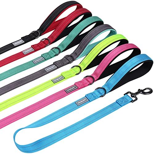 Vivaglory Dog Lead with Padded Handle, Heavy Duty Reflective 4ft Nylon Dog Training Walking Lead Leash for Medium & Large Dogs, Black