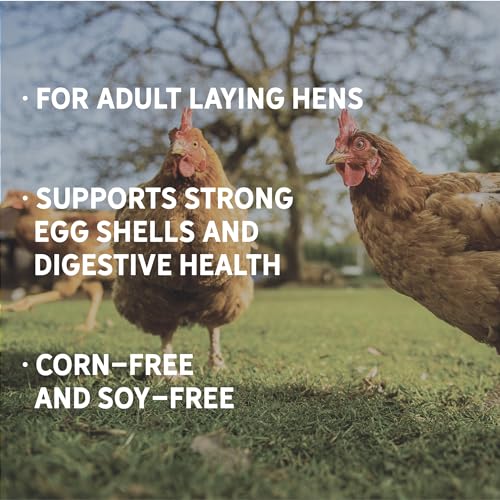 New Country Organics Corn-Free Classic Layer Chicken Feed 25lbs