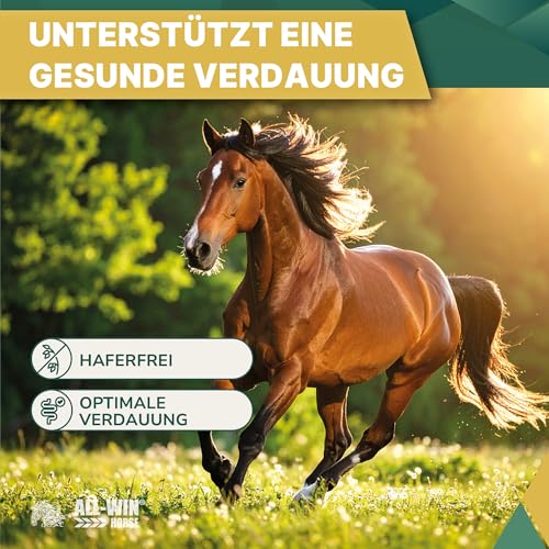 ALL-WIN Horse Colorado Müsli 15 kg | Haferfreies Pferdefutter | mit Apfel, Banane & Kräutern | Hohe Schmackhaftigkeit – Ergänzungsfuttermittel für Vitalität & Glanz