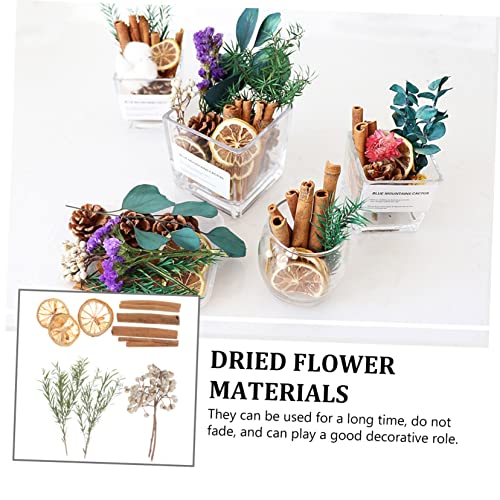 Flores secas para manualidades material floral natural miniatura 3