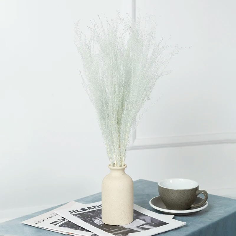 Véritable petite herbe séchée bouquet de mariage plantes naturelles décoration d'intérieur fleurs artificielles séchées Phragmites fleur ornementale