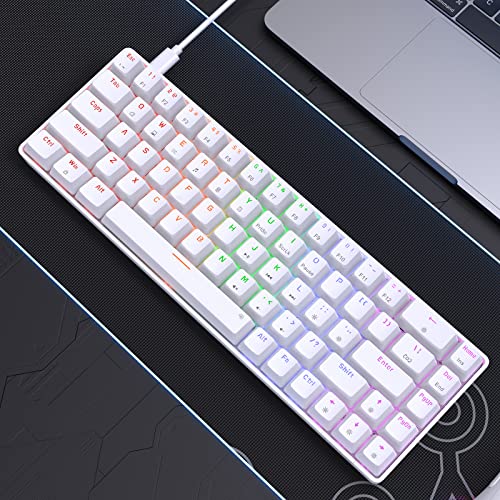 Dierya X Tmkb T68Se Wired 60% Mechanical Gaming Keyboard, Rgb Backlit Ultra-Compact 68 Keys Office Keyboard With Stand-Alone Arrow/Control Keys For Windows Laptop Pc Mac, Clicky Blue Switch, White #TOP6