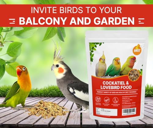 Image of Boltz Adult Bird Food for Cockatiel & Lovebirds Mix Food 500Gm- Foxtail Millet, Yellow Millet, Canary, Sunflower, Mix Seed for Lovebirds & Cockatiel (500 Gm)