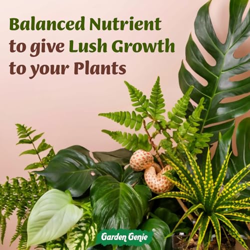 Image of Garden Genie Indoor Plant Fertilizer, 800G | Organic Growth Booster I Suitable For Areca Palm, Jade Plant, Money Plant, Monstera & All Types of Houseplants,Powder