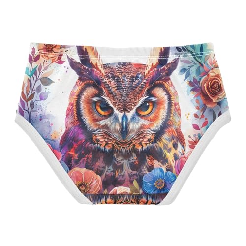 Owl Colorful Flowers Feathers Toddler Girls Underwear 2t Cotton Cute Panties Girl Fun Kids Undies Briefs2