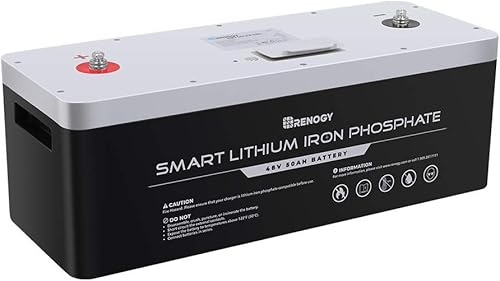 Renogy LiFePO4 - Batería inteligente de litio-ferrofosfato de 48 V 50 Ah, BMS integrada de alto rendimiento para RV, cámper, camioneta, marina,