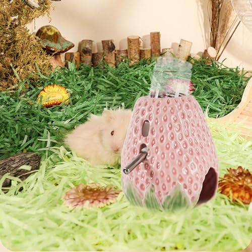 Bouteille d'eau pour hamster 80ml fraise pour gerbille et souris