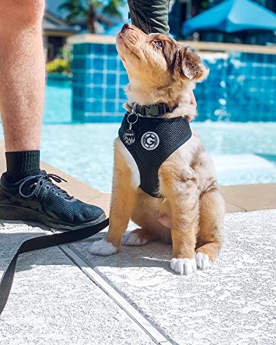Peitoral Gooby de malha macia e respirável para cães pequenos, preto, grande