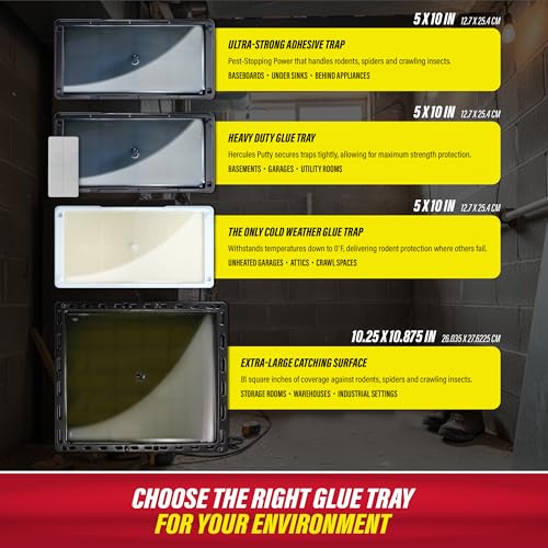 Image of Catchmaster Rat, Snake and Mouse Traps 8Pk, Large Bulk Glue Rat Traps for Home, Adhesive Plastic Tray for Inside House, Snake, Mice, & Spider Catcher, Pest Control for House & Garage (Pack of 6)